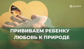 Прививаем ребёнку любовь к природе